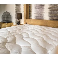 BRUN DE VIAN - TIRAN