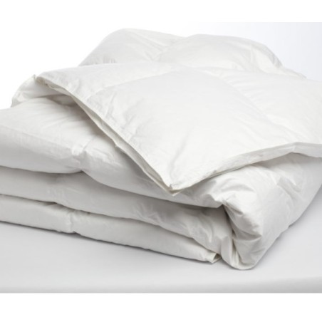 CINELLI Piume & Piumini - INTERNO PURO PIUMINO 100% SIBERIANO  SPRING